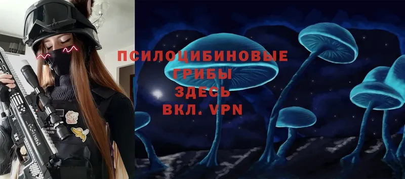 Галлюциногенные грибы Psilocybe  omg ссылки  Вяземский 